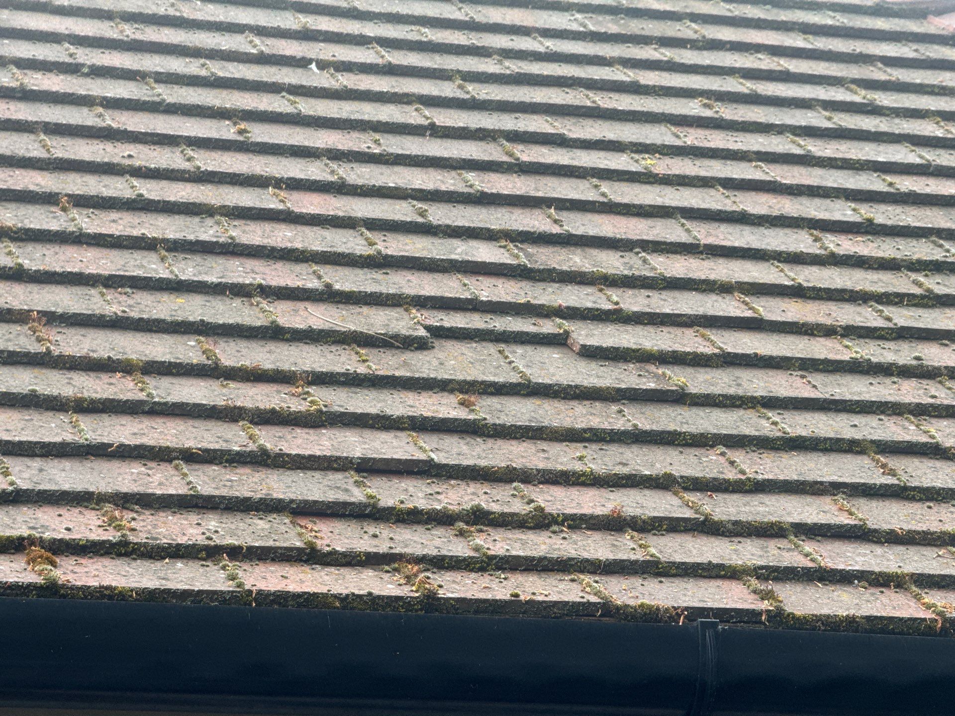 Roof Clean  - Moss Removal - Gutter Clean using Honda 15lpm Low Pressure Washing Machine by Ges Exterior Cleaning ltd