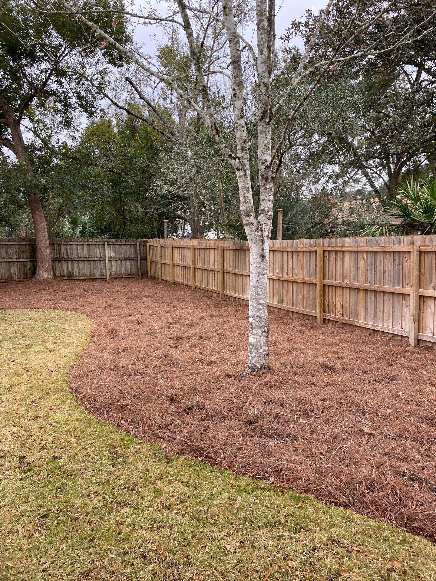 Deerwood Resident | Pine Straw Install by ProGreen Services