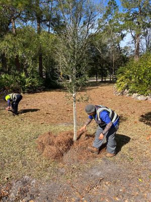 Deerwood Resident | Tree Installation