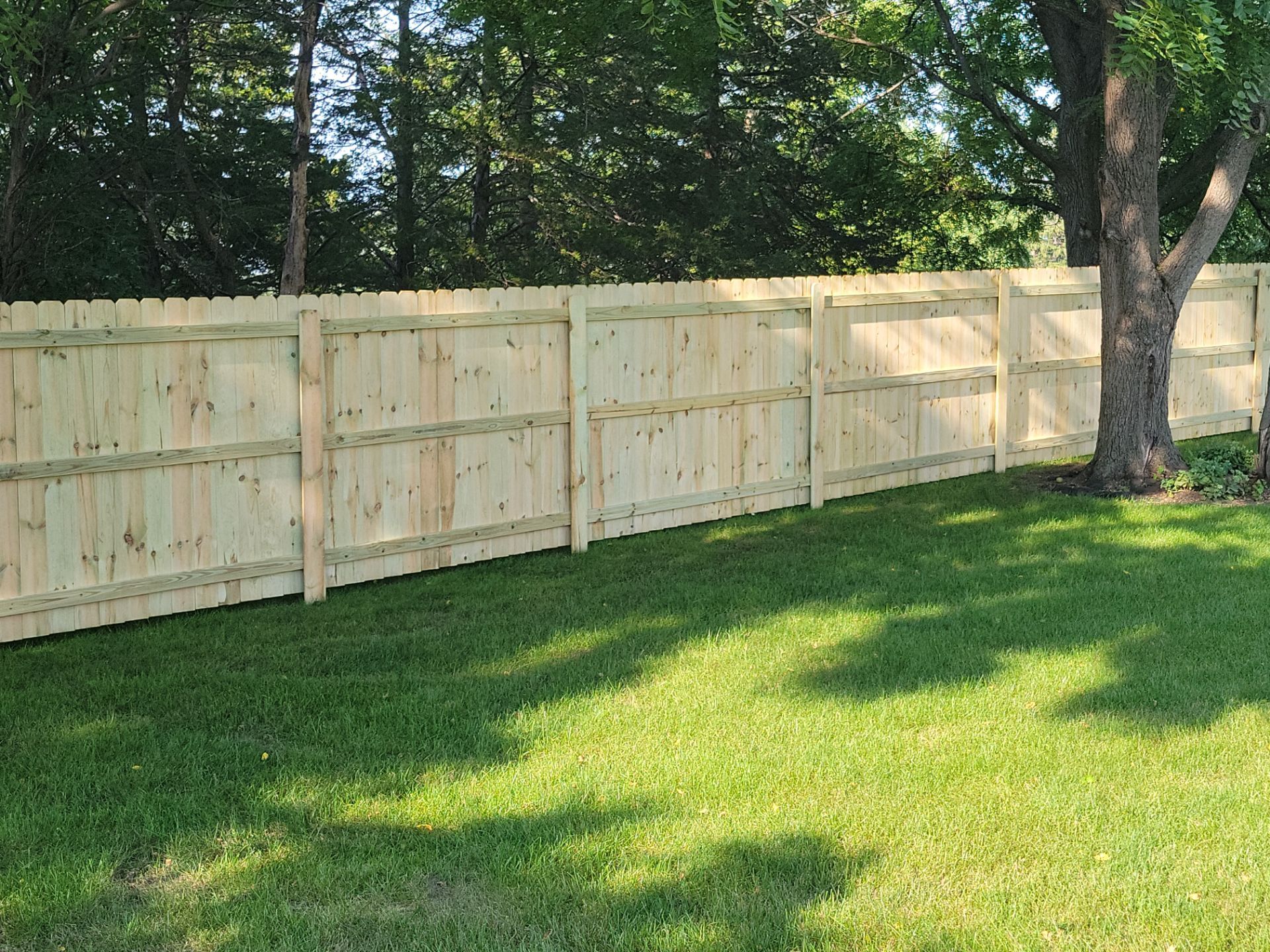 Pressure-Treated Wood Privacy Fence Replacement in Cedar Falls by Perfect Picket Fence and Stain