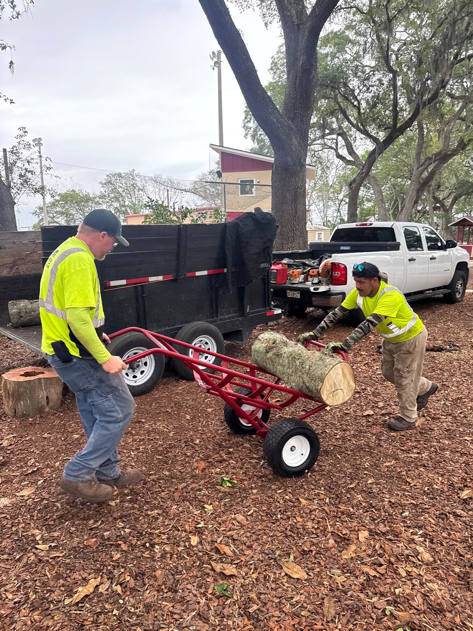 Episcopal School of Jacksonville | Tree Service by ProGreen Services