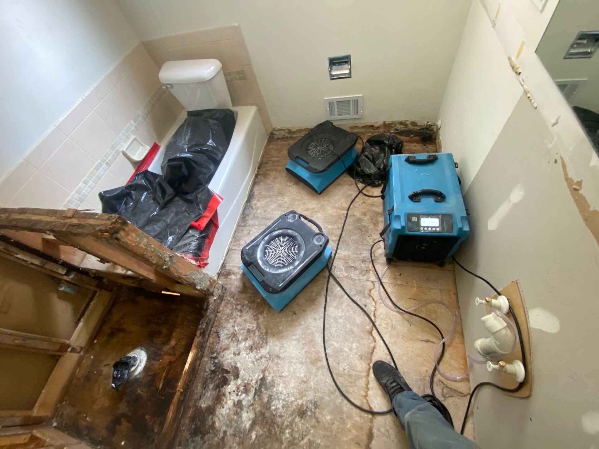 Project in Livonia by EzDry Water Mitigation & Property Restoration