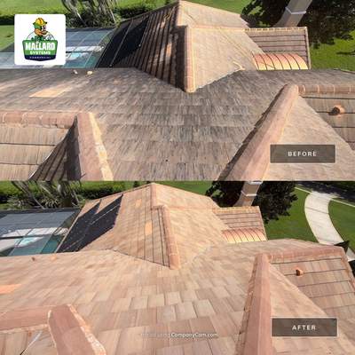 Residential Tile Roof Cleaning in Windermere