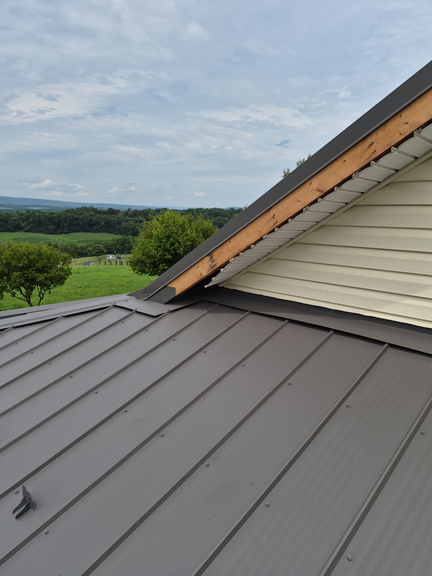 Newport Metal Roof Replacement with New Skylights by Esh Builders