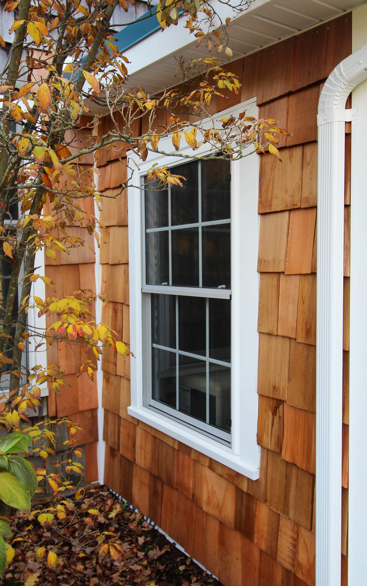 Addition, Exterior Siding, & Windows by Ivy Lea Construction