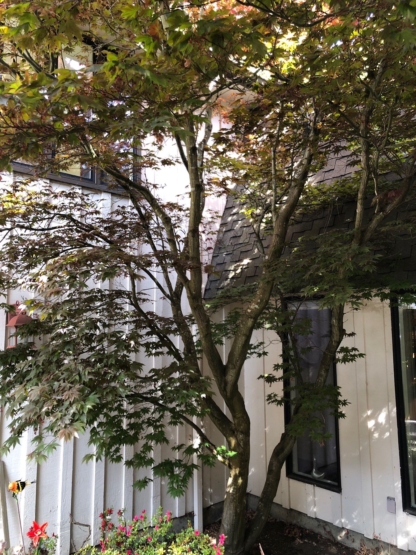 Project in Mount Vernon by Peaks and Valleys Construction