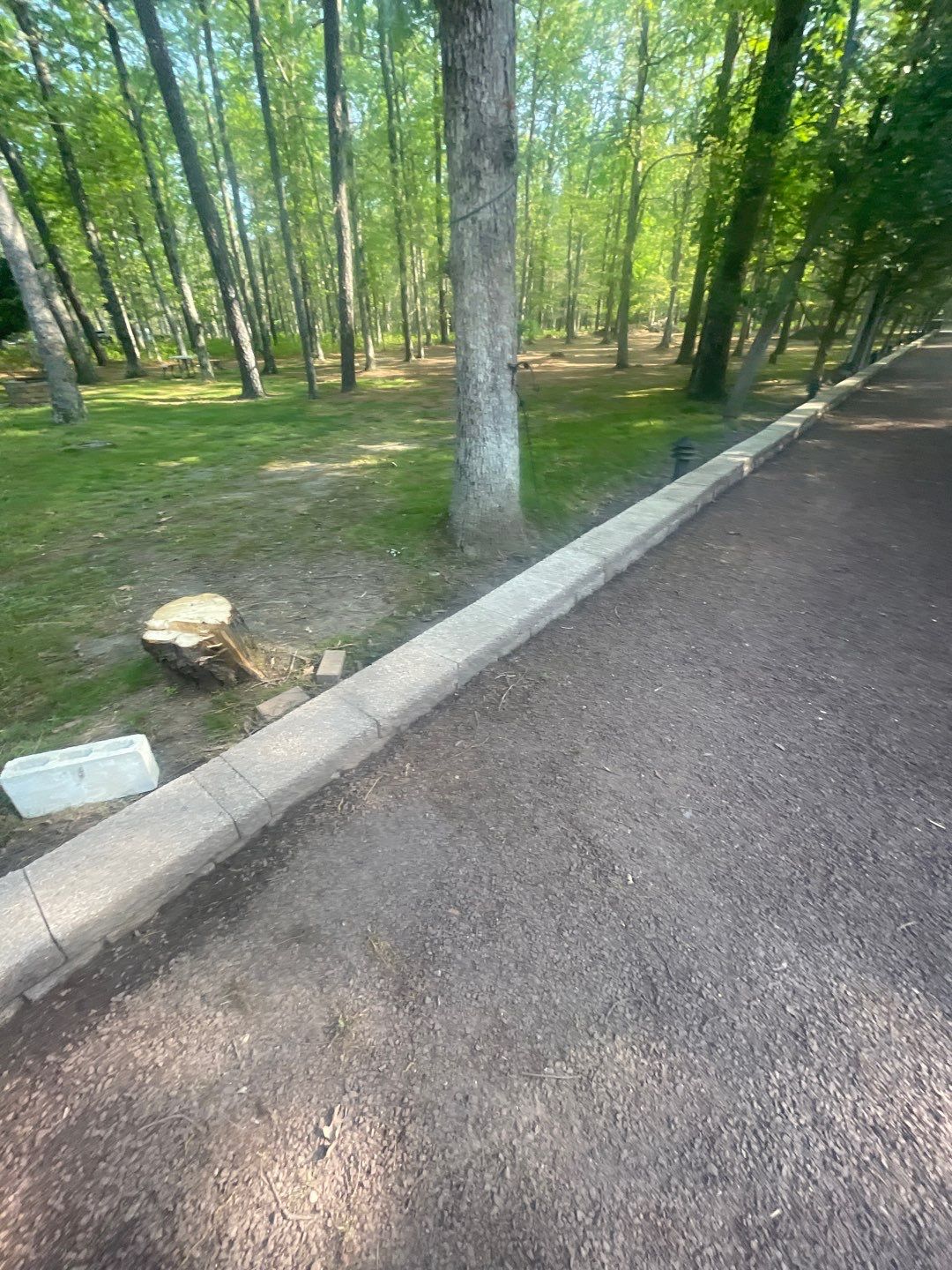 Pavers Cleaned, Garage and Concrete walls by SJ Exterior