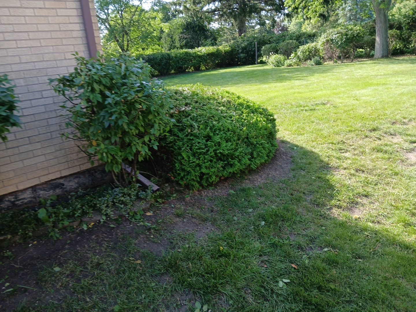 Andrew L. - Arlington Heights, IL by A&N