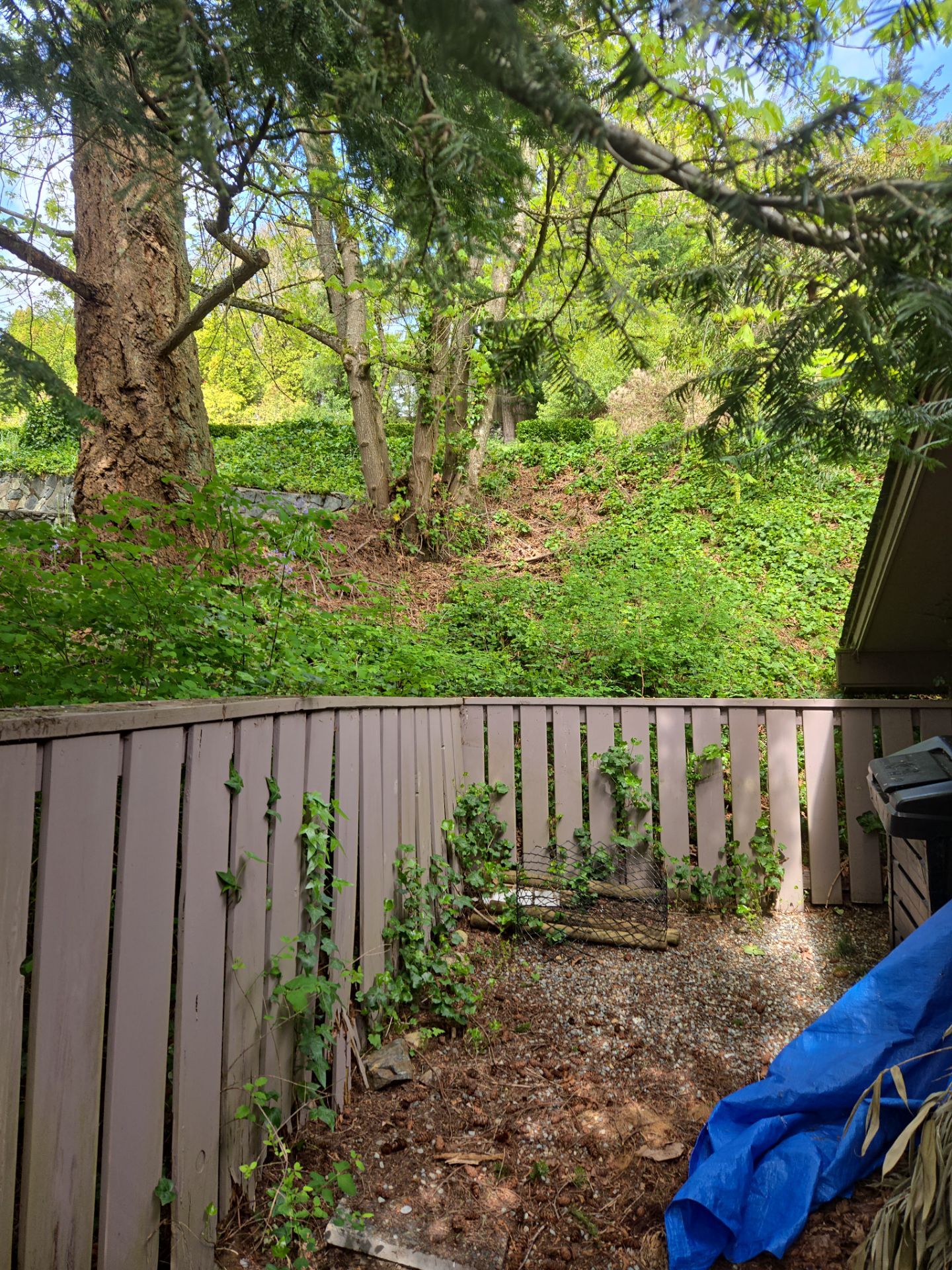 Rotten Fence Replacement – Seamless Integration with Existing Landscape by Habanero Garden and Exterior Care