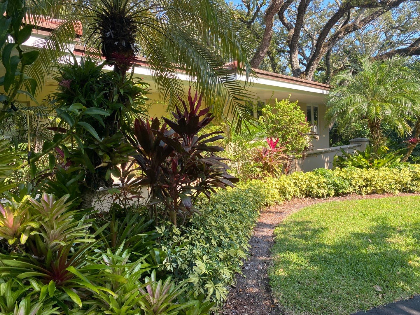 Tropical Residential Landscape in Pinecrest by Nature's Dream Landscape and Tree Service