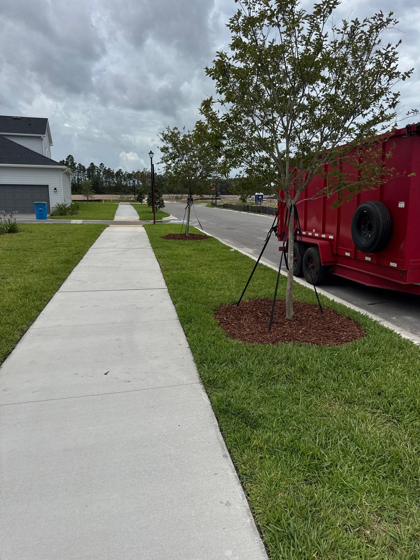 Residential | Sod Install by ProGreen Services