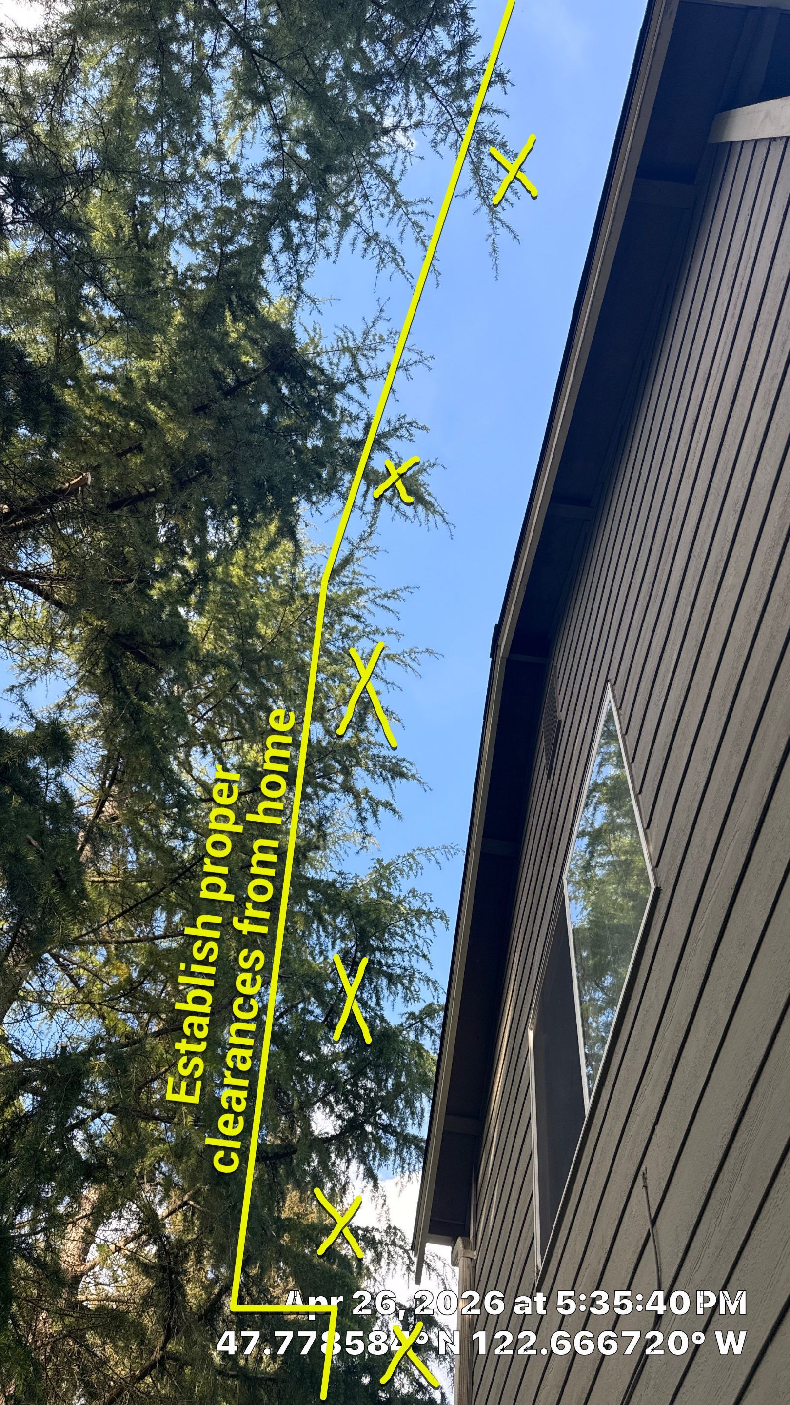 Sound Tree Care LLC featured photo.
