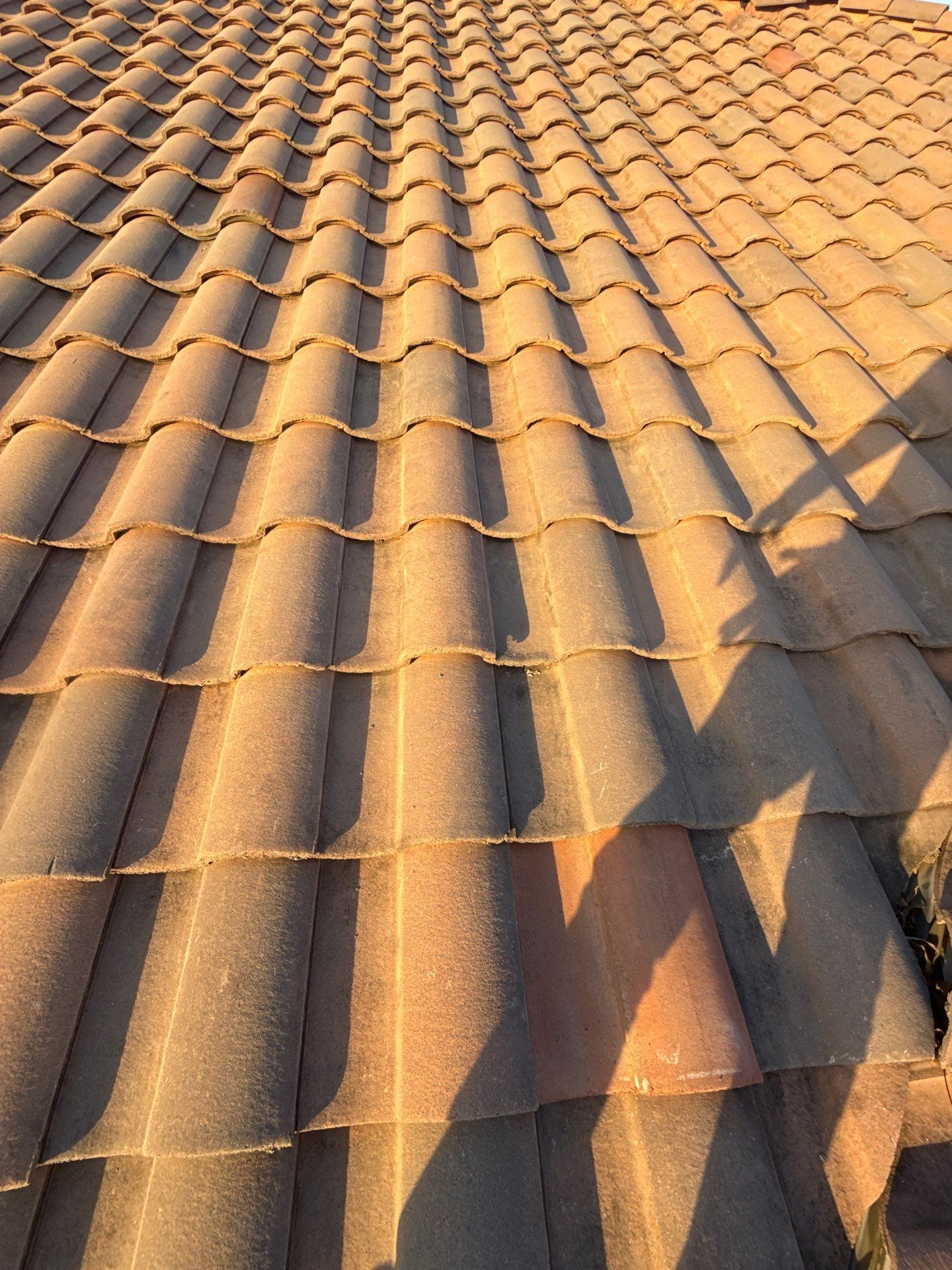 Roof Replacement in Sienna Village of Bees Creek, Missouri City TX by Roof Repair Company