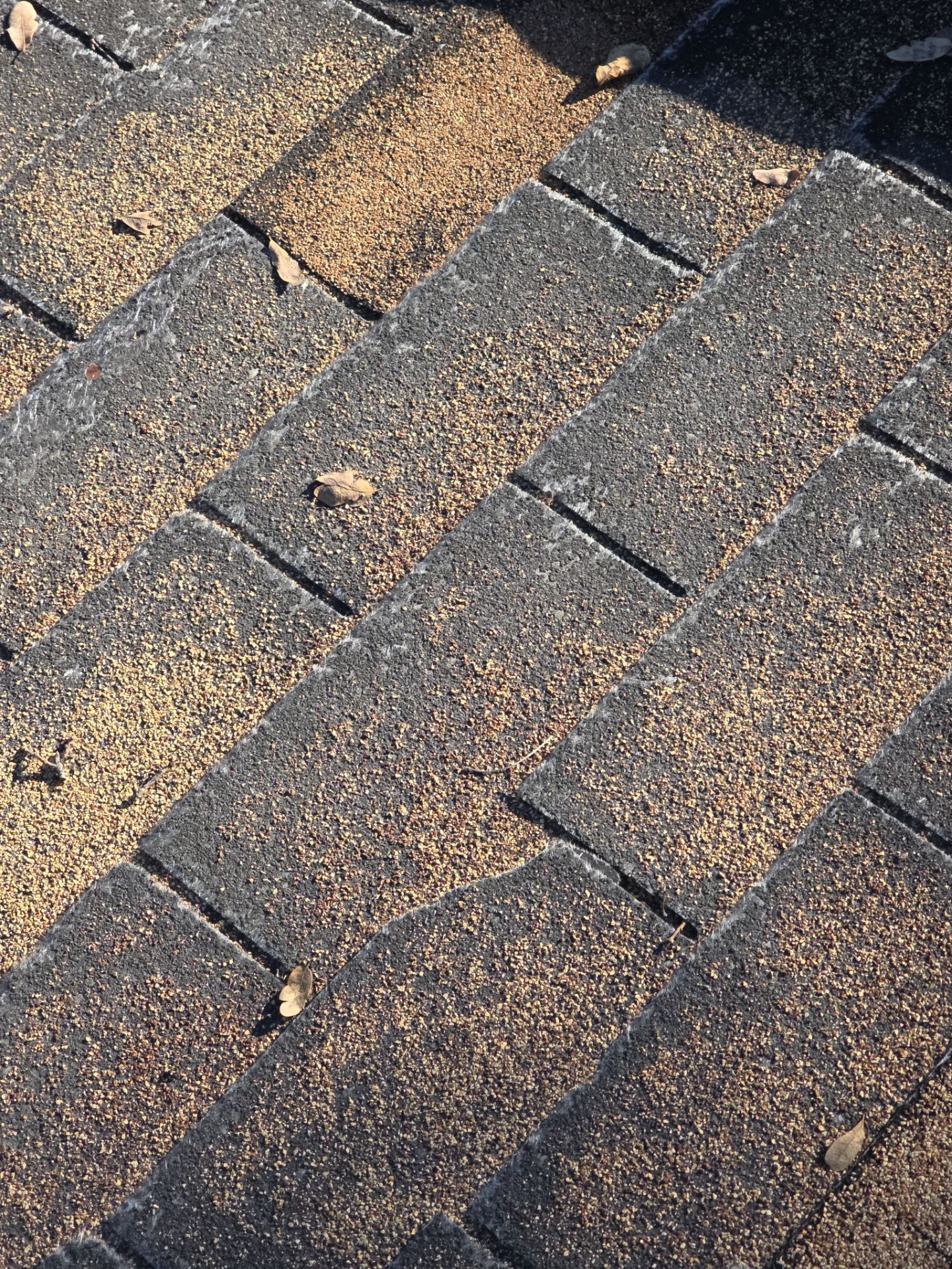 Roof Rejuvenation using Roof Maxx Treatment by Roof Maxx of Folsom