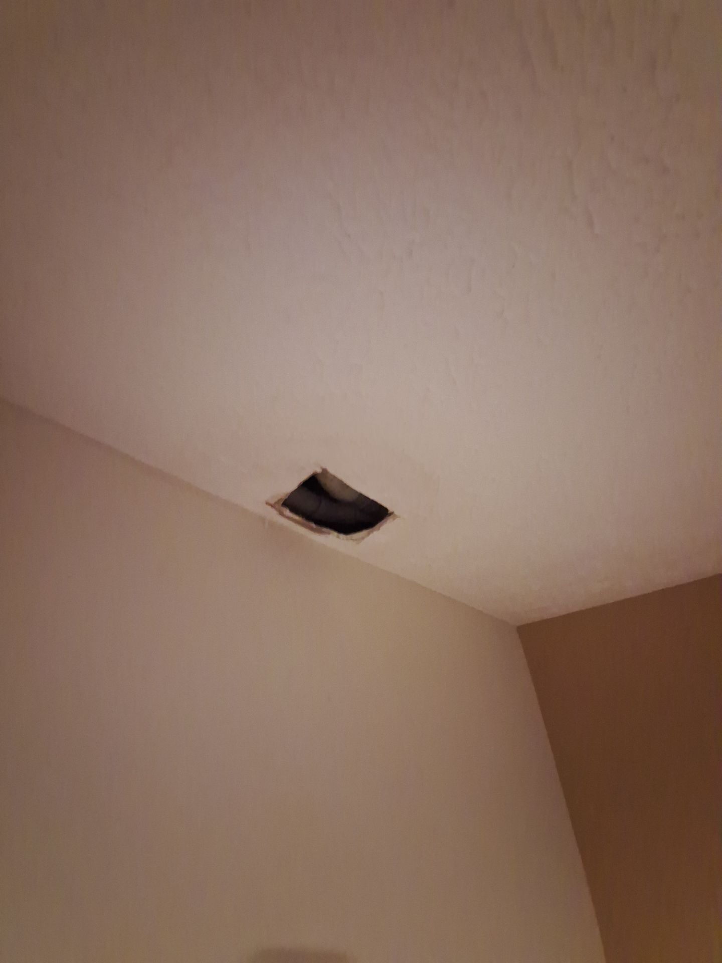 Interior repairs and repaint!! by Gordon Painting