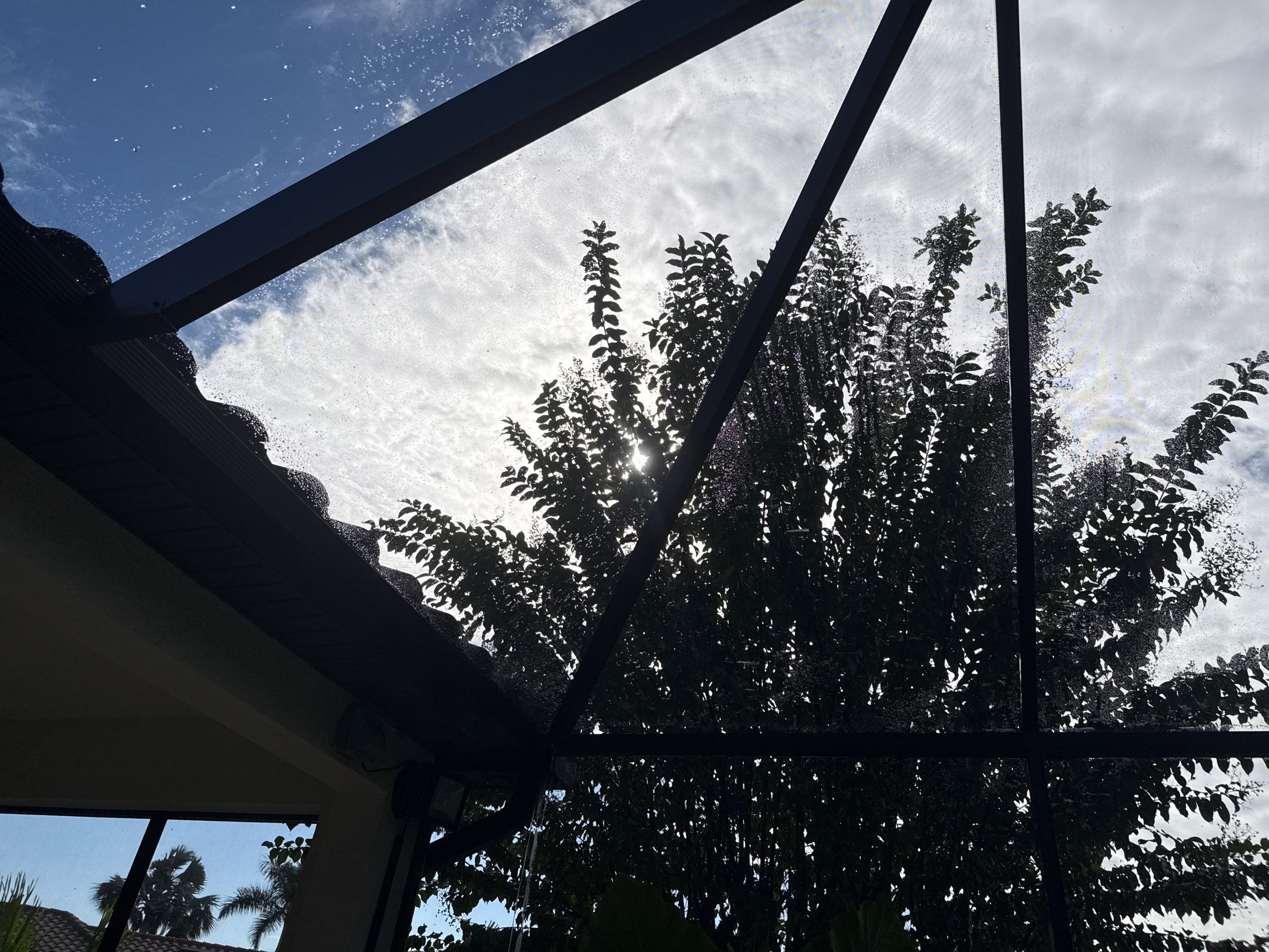 Pool Cage Cleaning | Rye Wilderness, Bradenton FL by Sunshine AquaWash