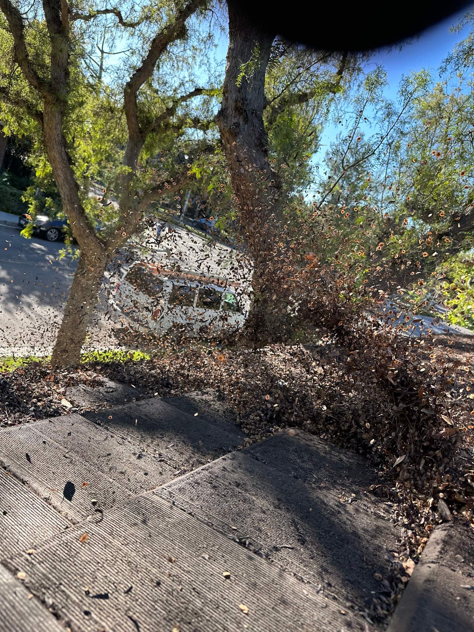 Orange County Gutter Cleaning by Property Cleaning Experts