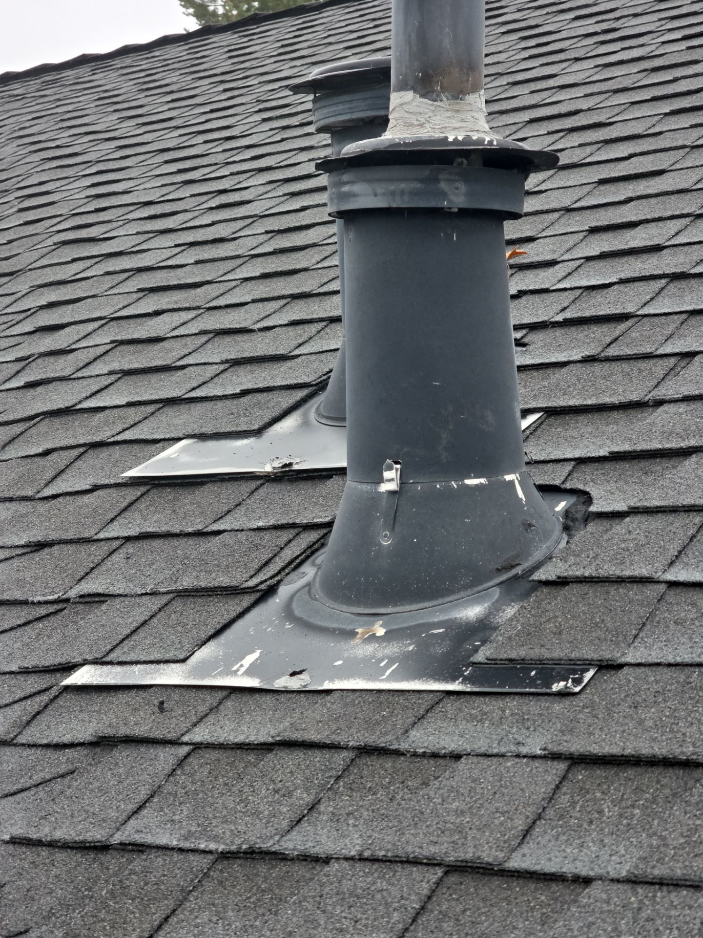 Roof Rejuvenation using Roof Maxx Treatment by Roof Maxx of Folsom