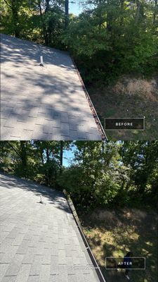 Project in Dayton