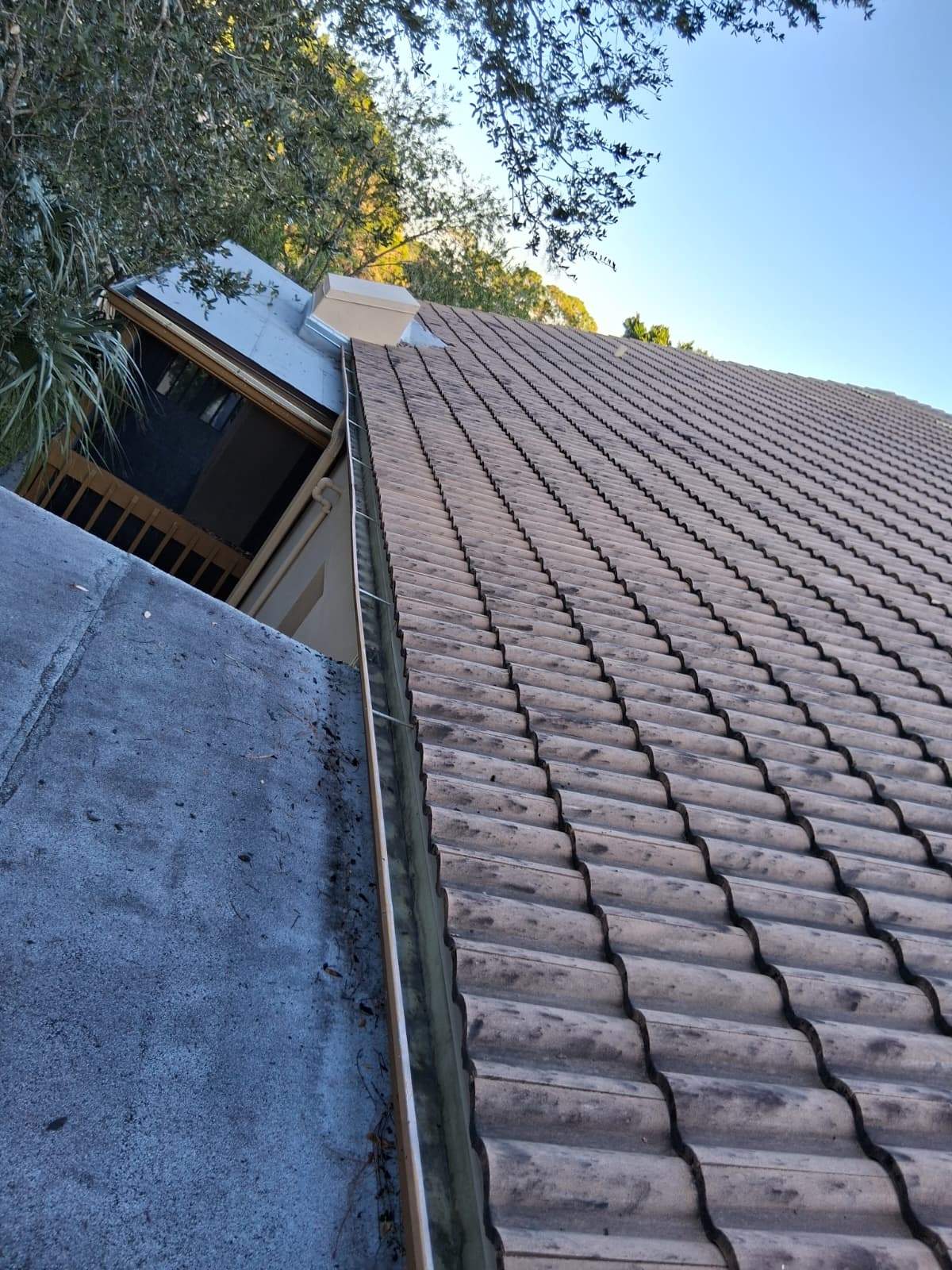 Gutter Cleaning Service in Sarasota FL by Gutter Professors