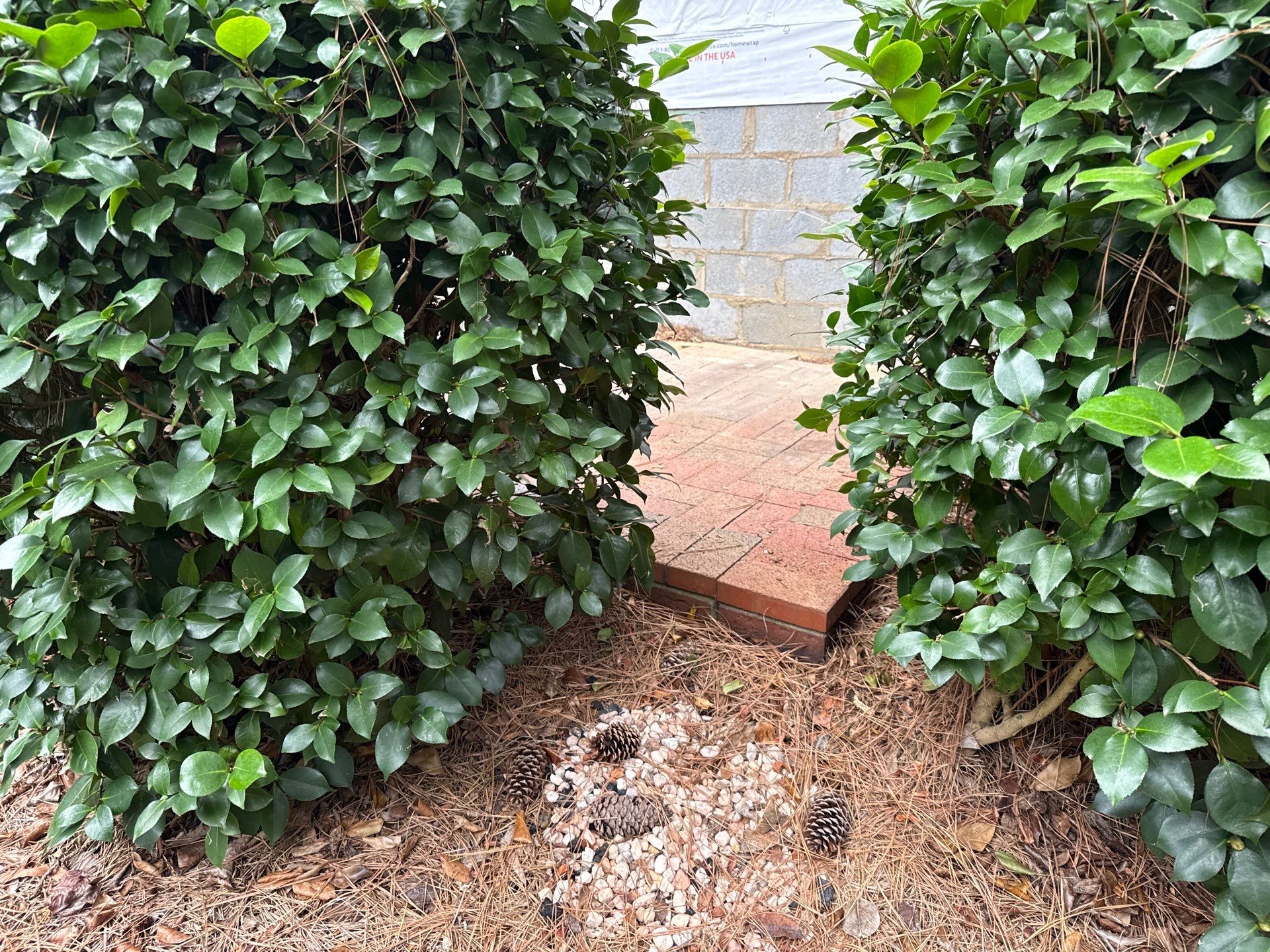 Project in Charlotte by Badger Hauling