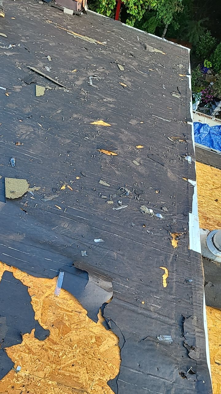 Dumfries: CertainTeed Landmark Pro Designer Shingles in Max Def Weathered Wood by RM Banning, Inc.