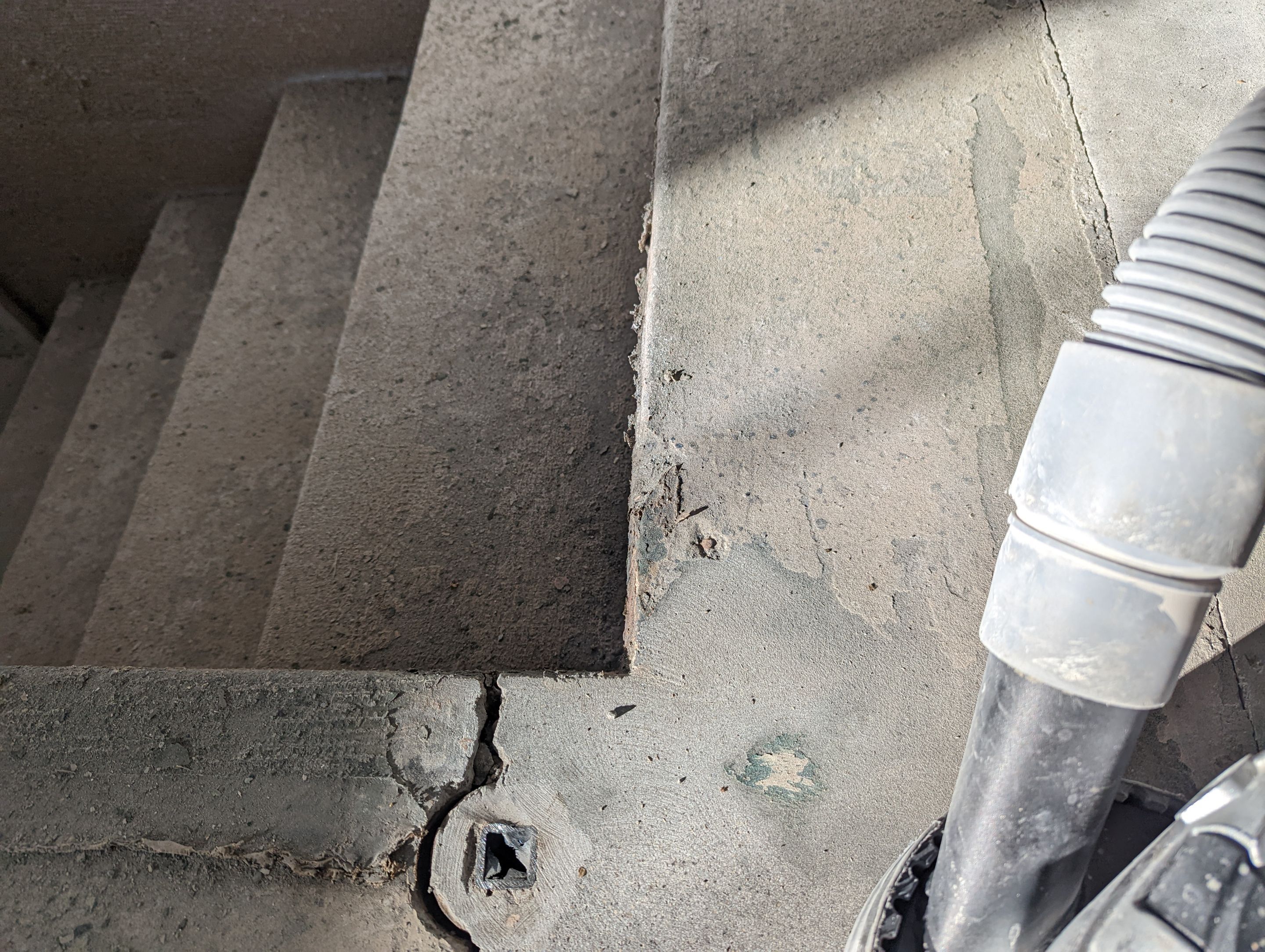 Garage using Domino  by Select Painting, Coatings & Garage Cabinets