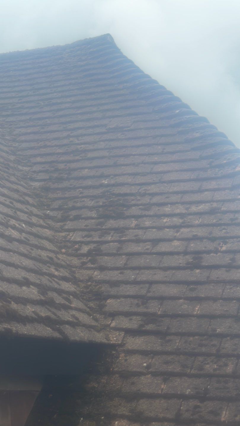 Roof Clean  - Moss Removal - Gutter Clean by Ges Exterior Cleaning ltd