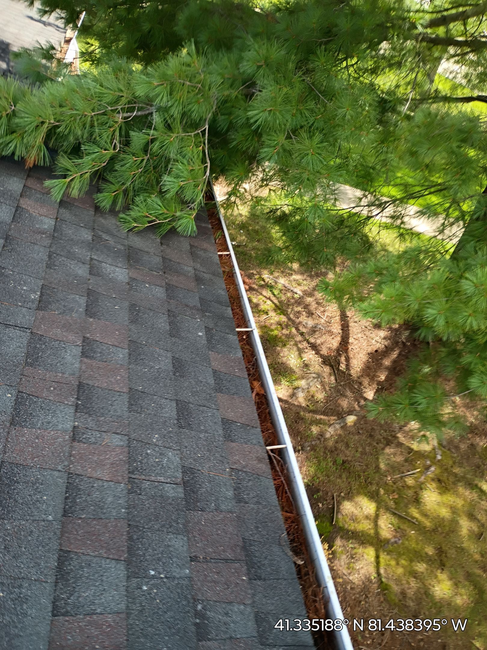 Commercial gutter cleaning Georgia before photo with filled gutters