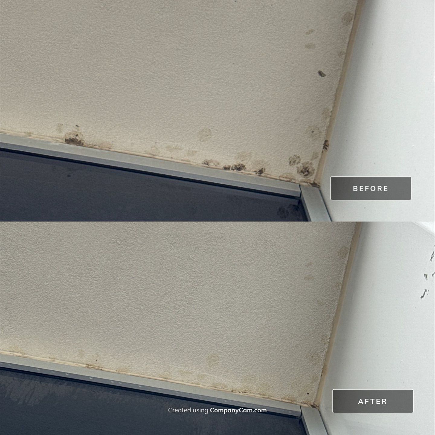 Project in Elgin by Simmons Power & Soft Washing