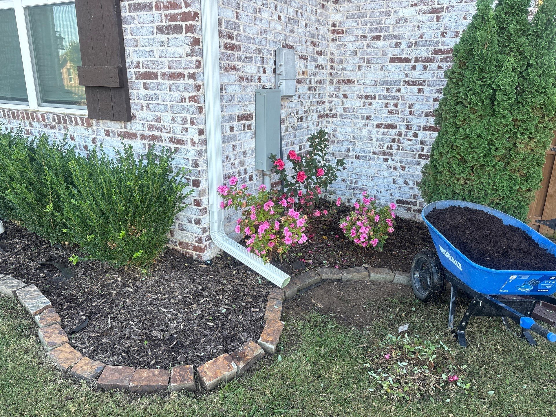 Bed Cleanout by GGNWA