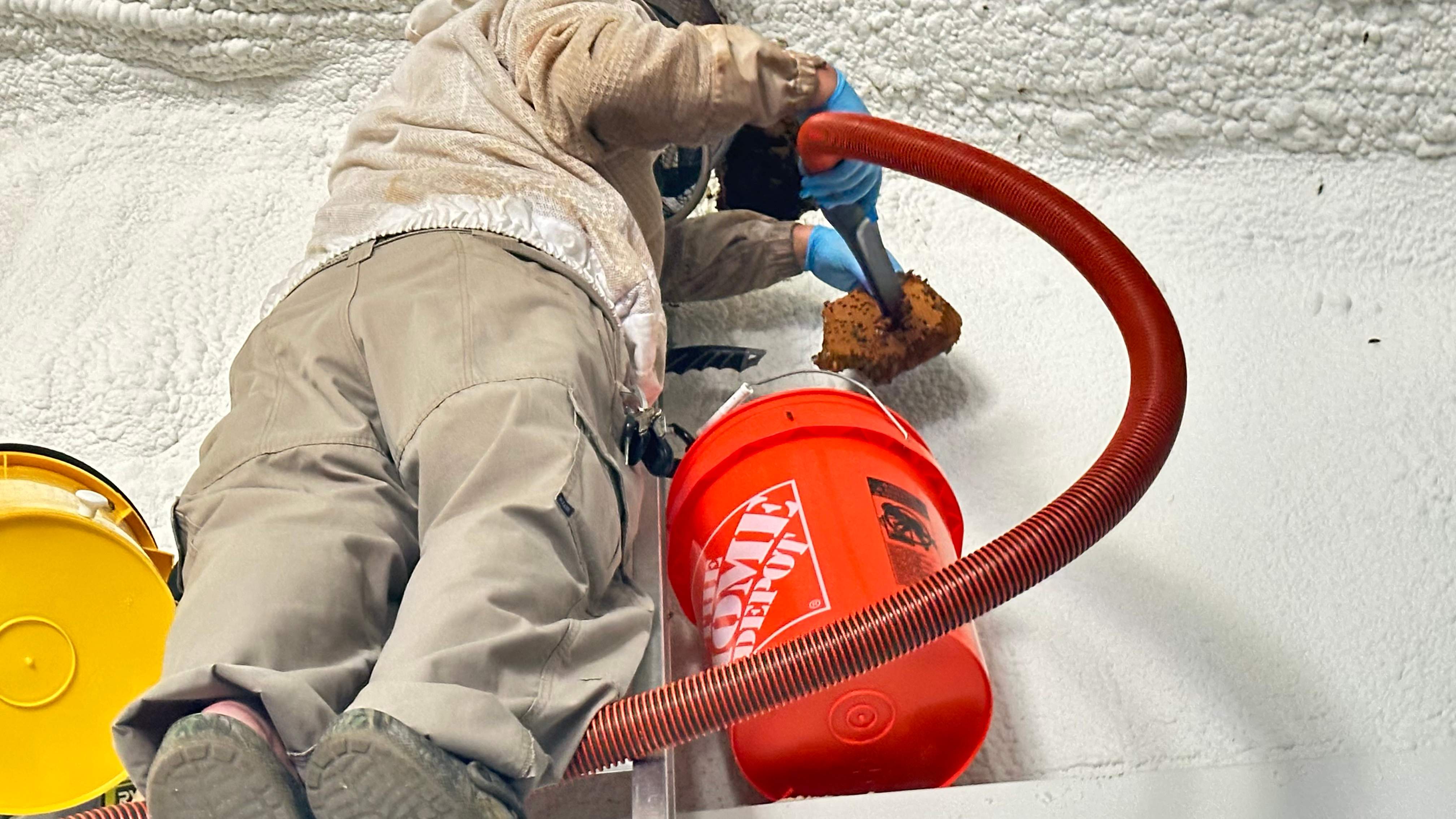 Art Gallery by Rockwall Honey Bee Company