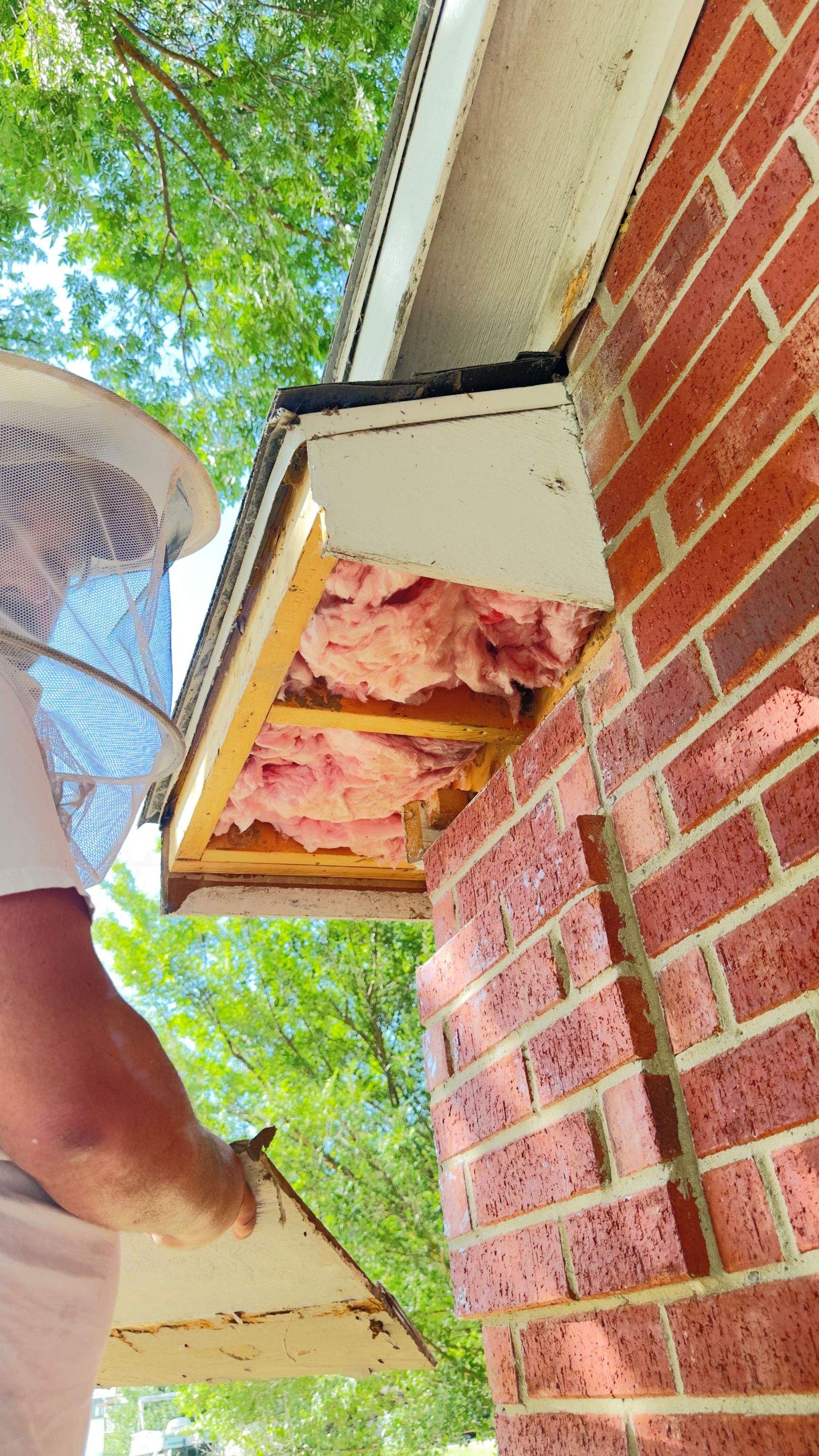 Soffits! by Rockwall Honey Bee Company