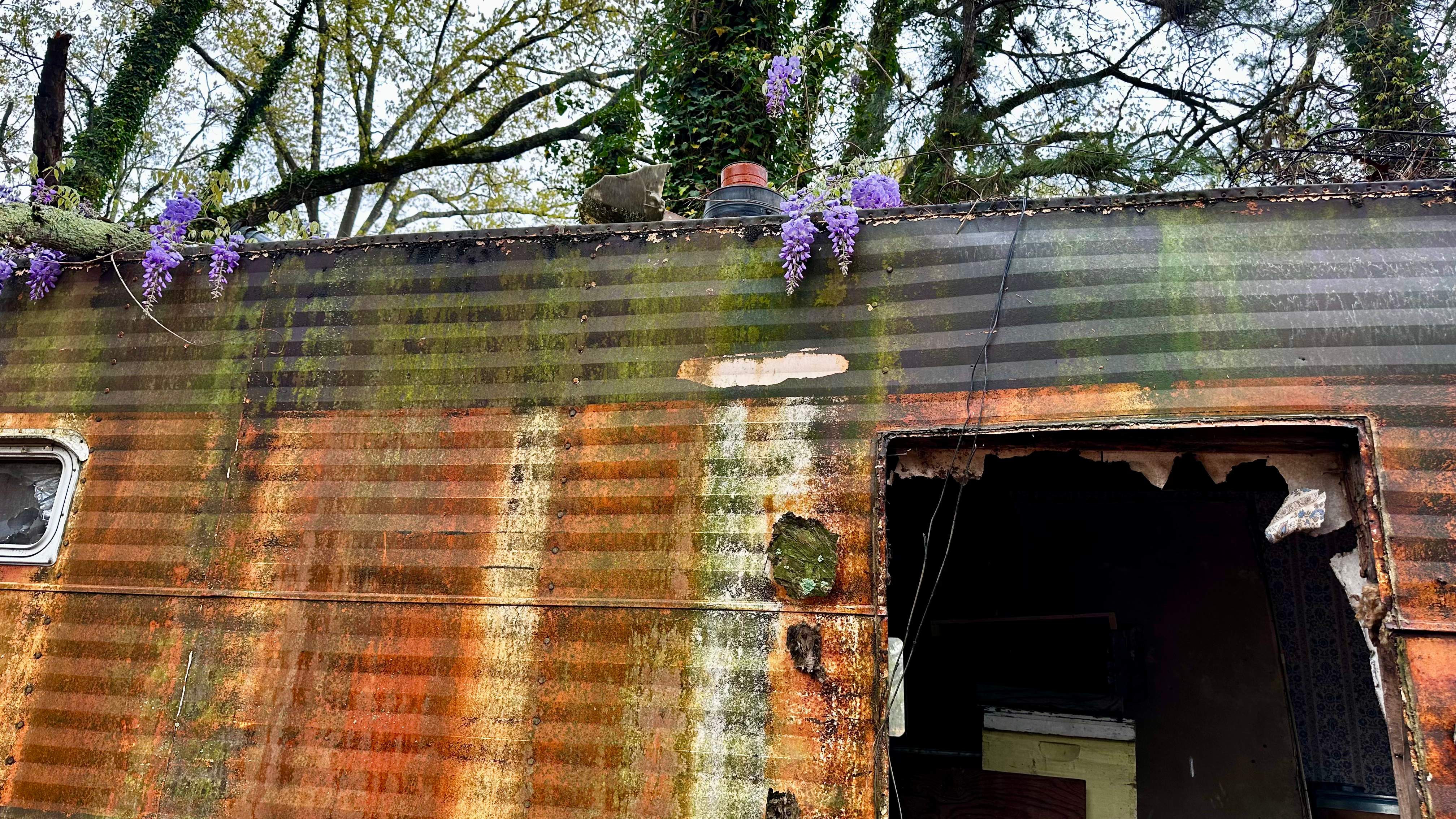 BeeGirl ETX HQ by Rockwall Honey Bee Company