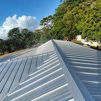 24ga 1" Nail- Strip Mill Finish by Total Roofing System The Metal Roof Experts