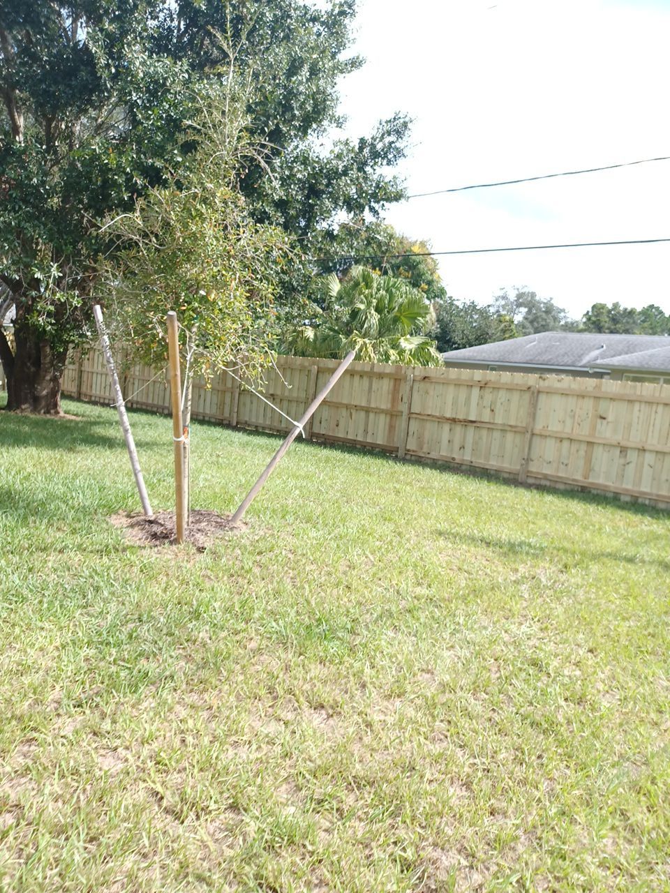 Port Charlotte, Florida 6 ft. Tall Board on Board Privacy Fence  by Asap fence and gates, LLC