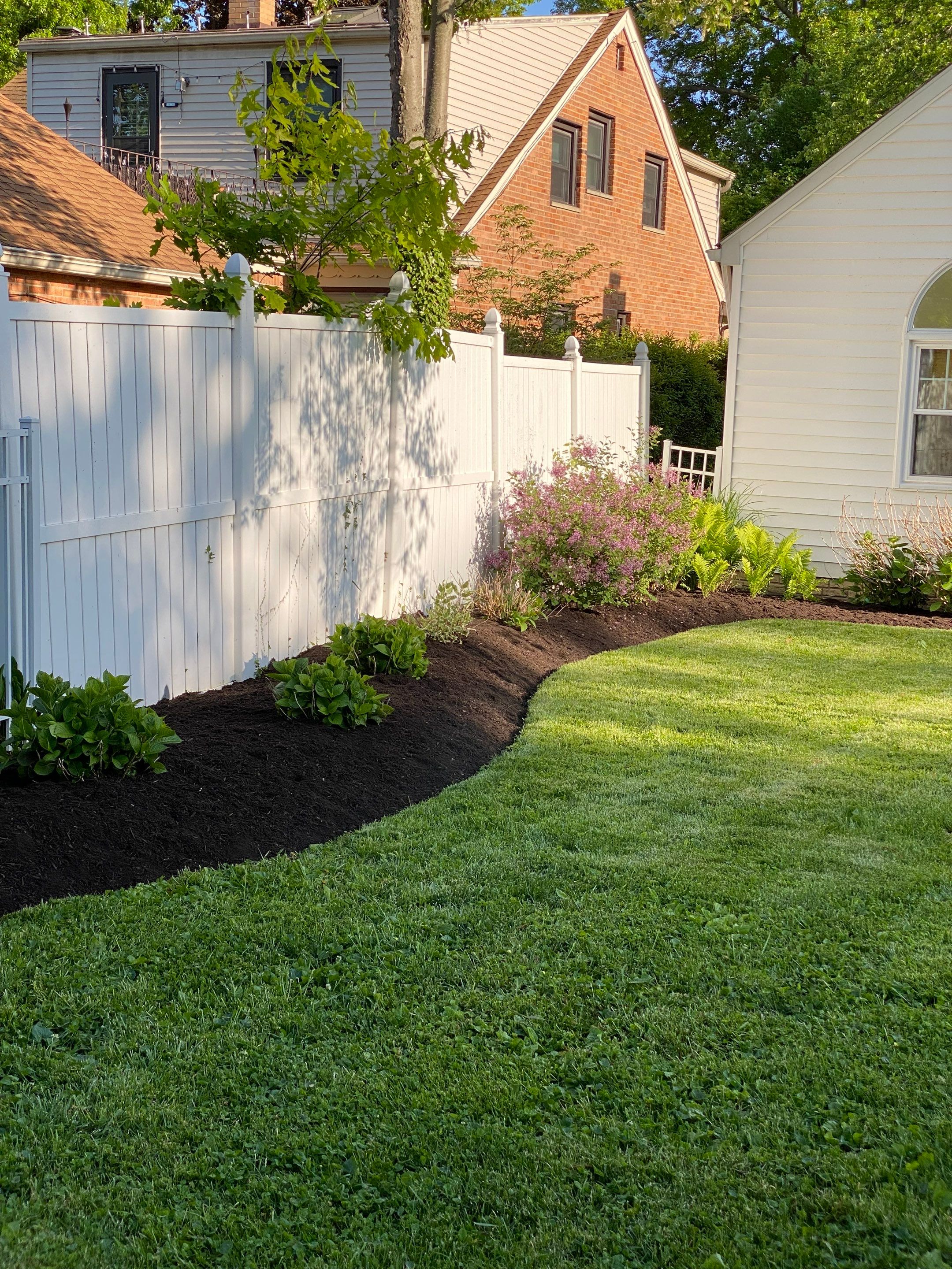 River Birch Maintenance by Elm Rose Gardens