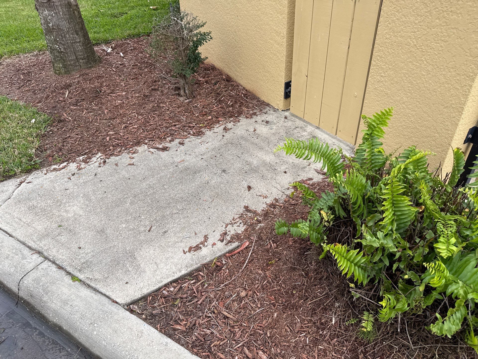 HOA Community Cleaning by Sunshine AquaWash