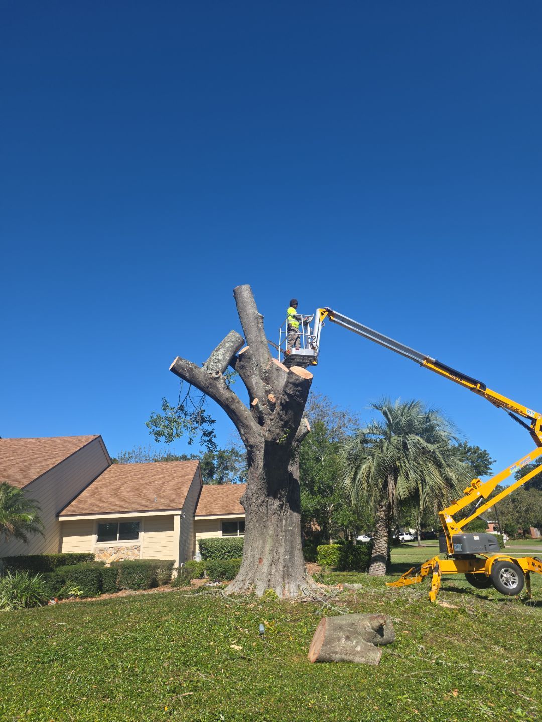 Deerwood Resident | Tree Removal & Stump Grinding by ProGreen Services