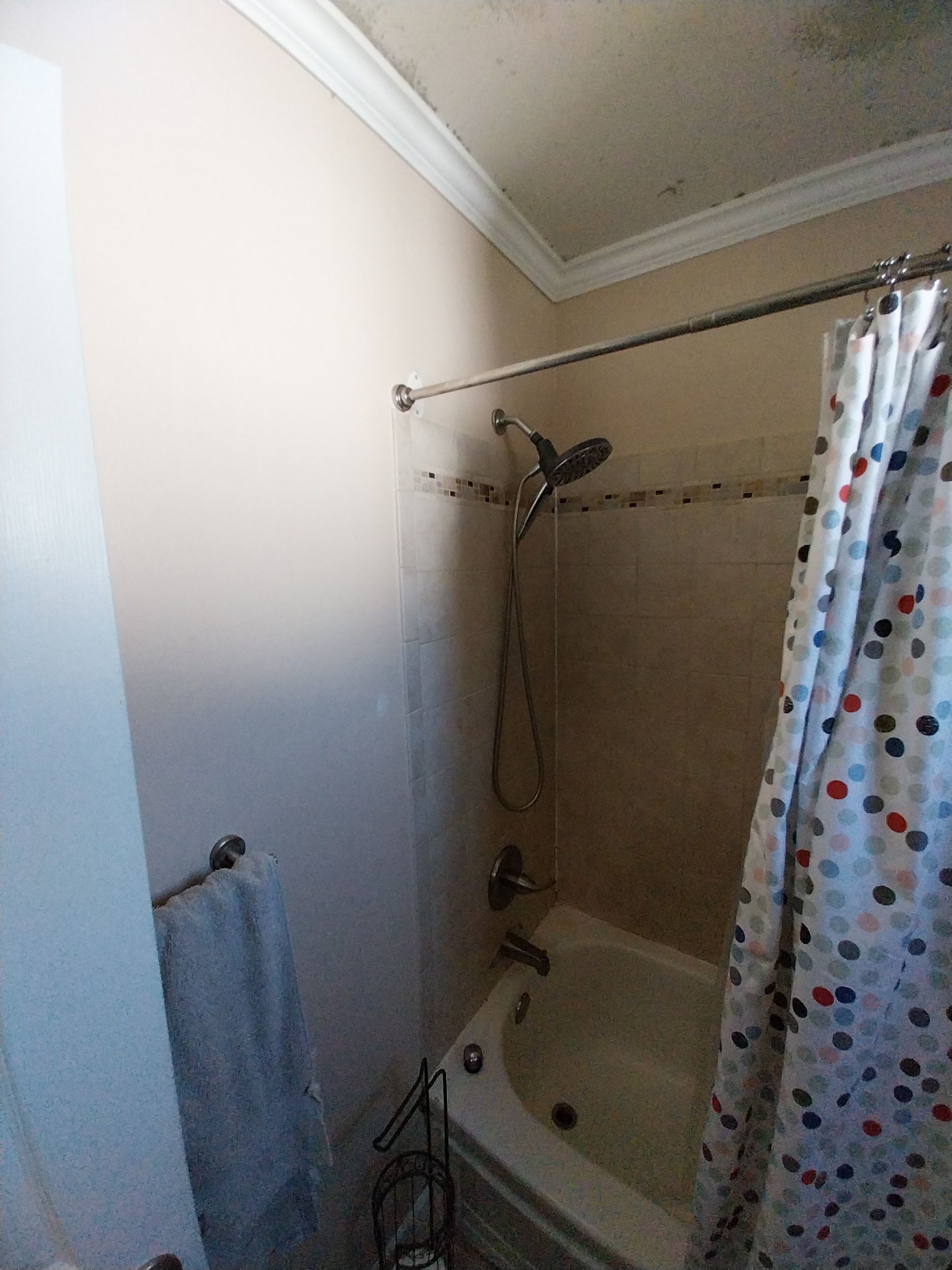 Bathroom Remodel using Sherwin Williams Premium ceiling paint by Laser Focused Solutions LLC
