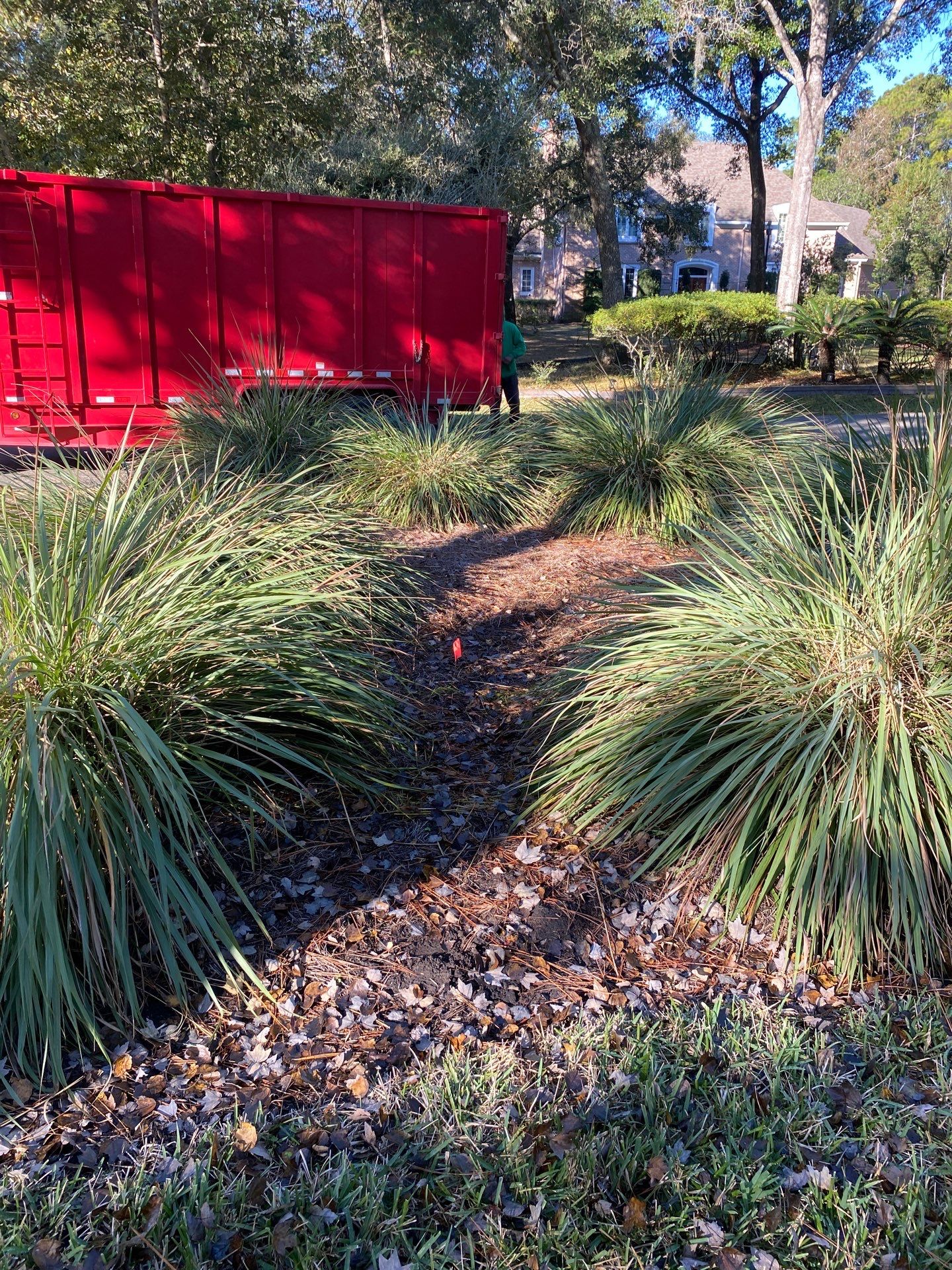 Deerwood Community | Oak Tree Replacement Project by ProGreen Services