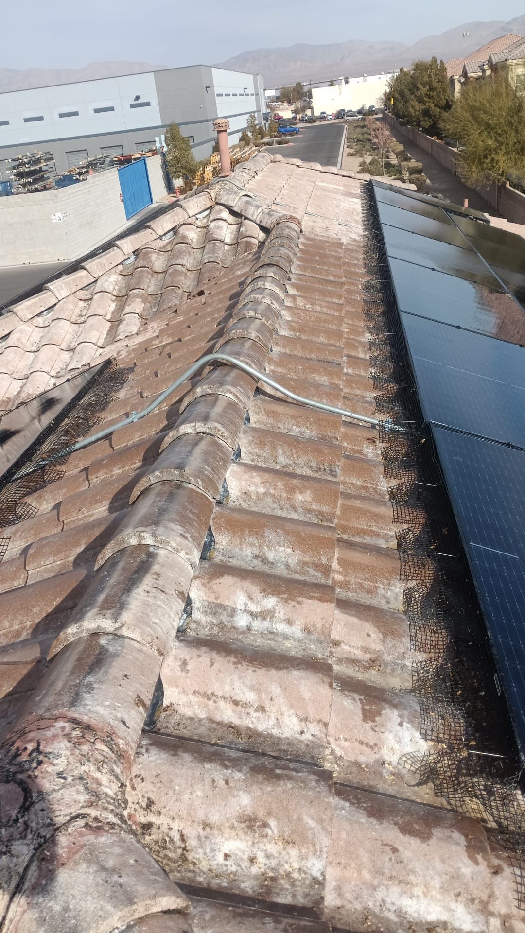 Excessive pigeon problem  by Solar Honest Cleaning 