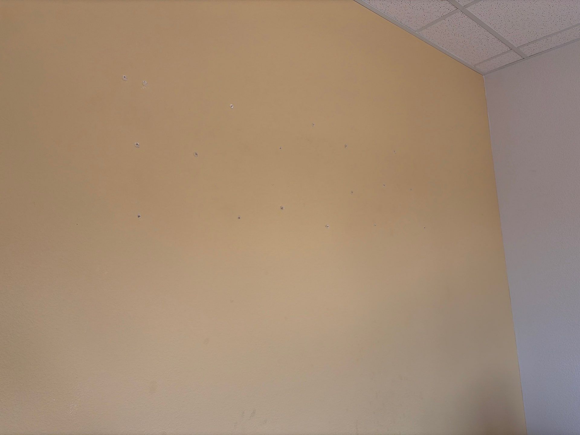 From Dated to Dramatic: A Tyler, Texas Accent Wall Transformation by Quality Coats Painting