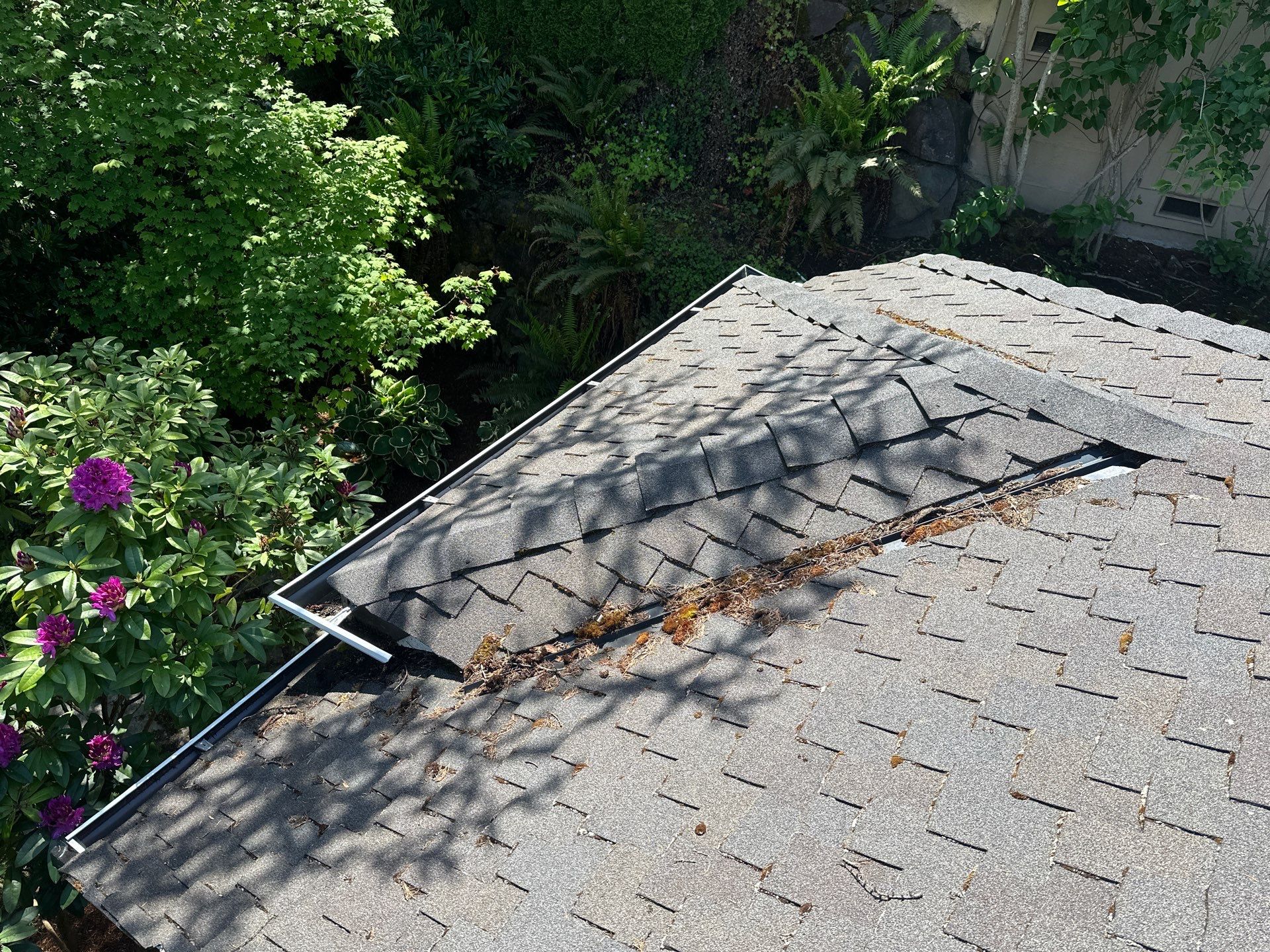 AGS Roof Wash in Sammamish by WindowWorks