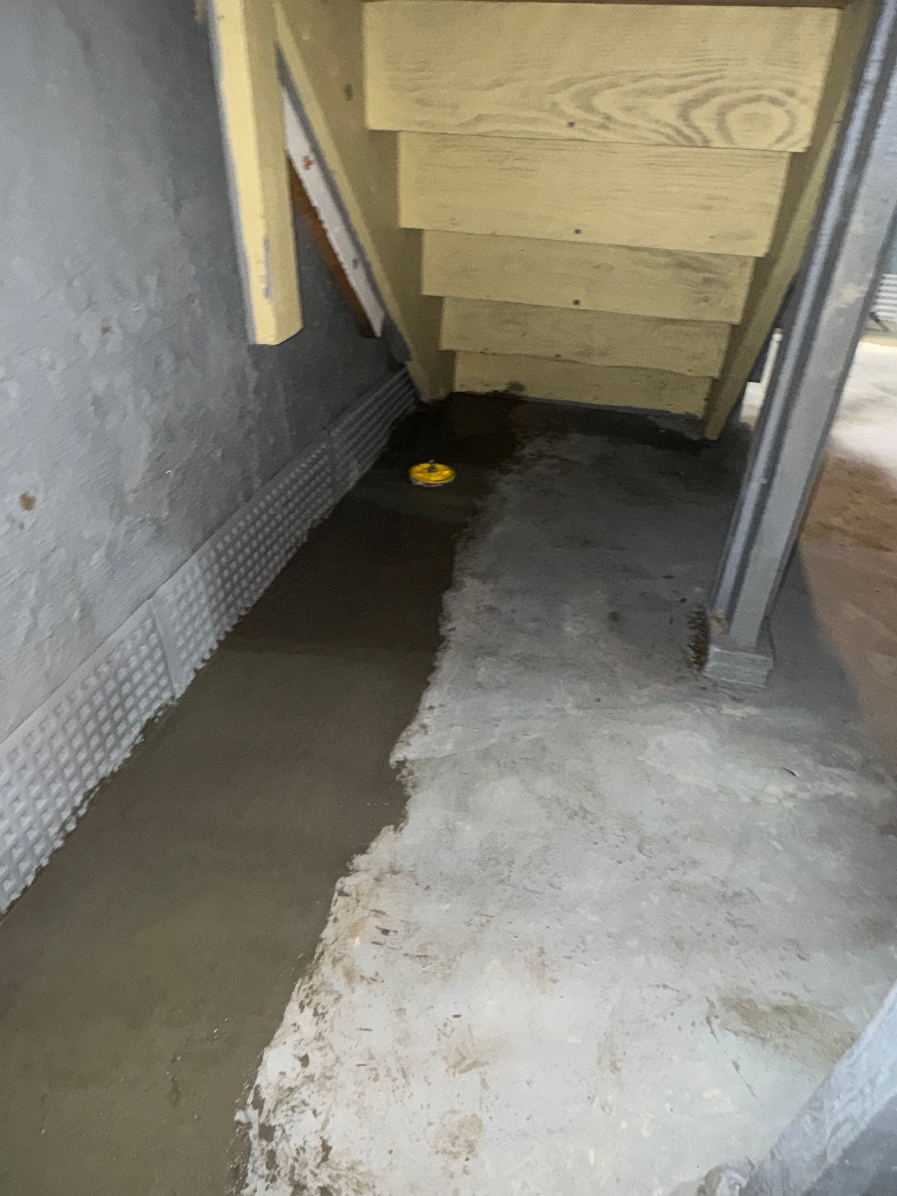 Interior French Drain River Edge NJ by Pure Service Pro, LLC 