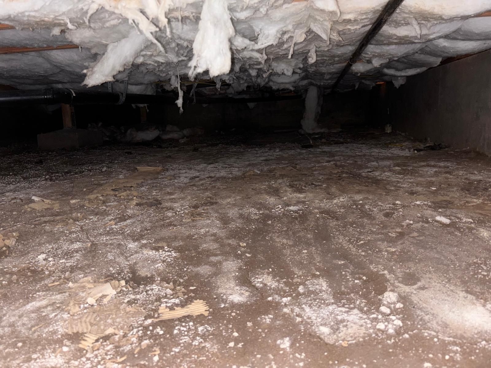 Project in Pasadena by Insulation Labs