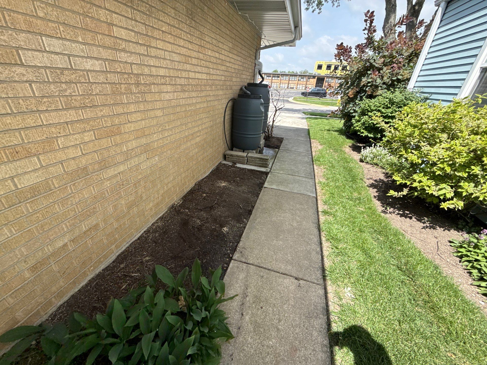 Cheris B. - Mount Prospect, IL by A&N 