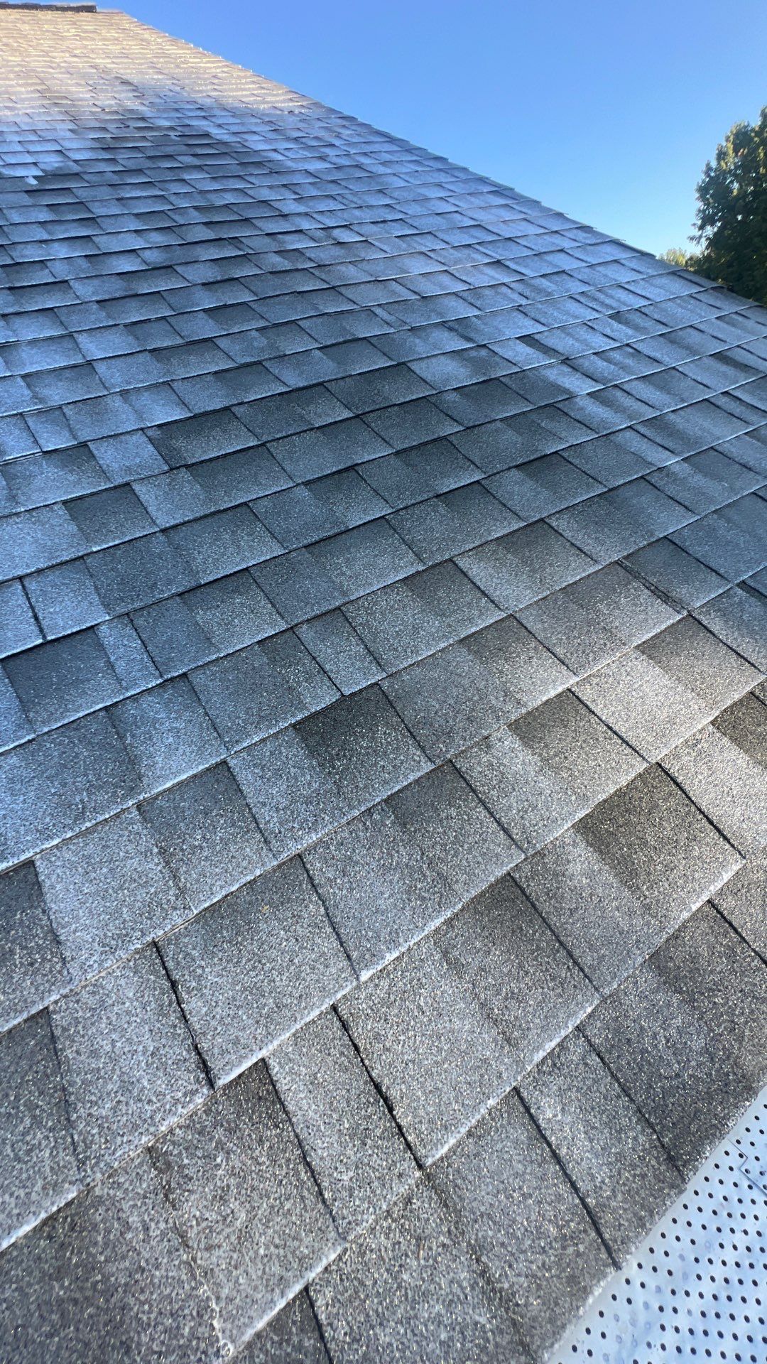 Project in Maidens by Roof Maxx of Midlothian