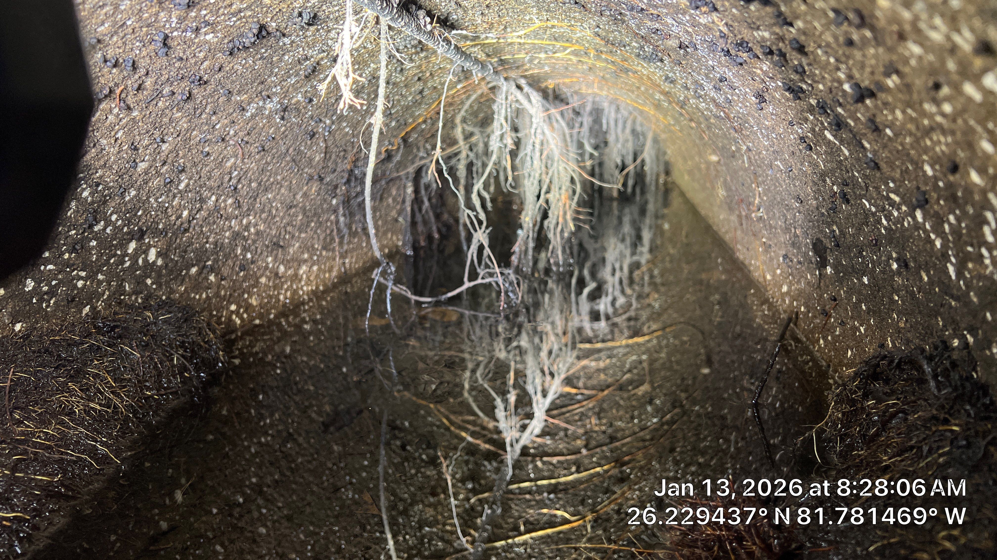Naples Community Root Intrusion Investigation with P.R.S. by Don Mar, Inc. Storm Water Solutions