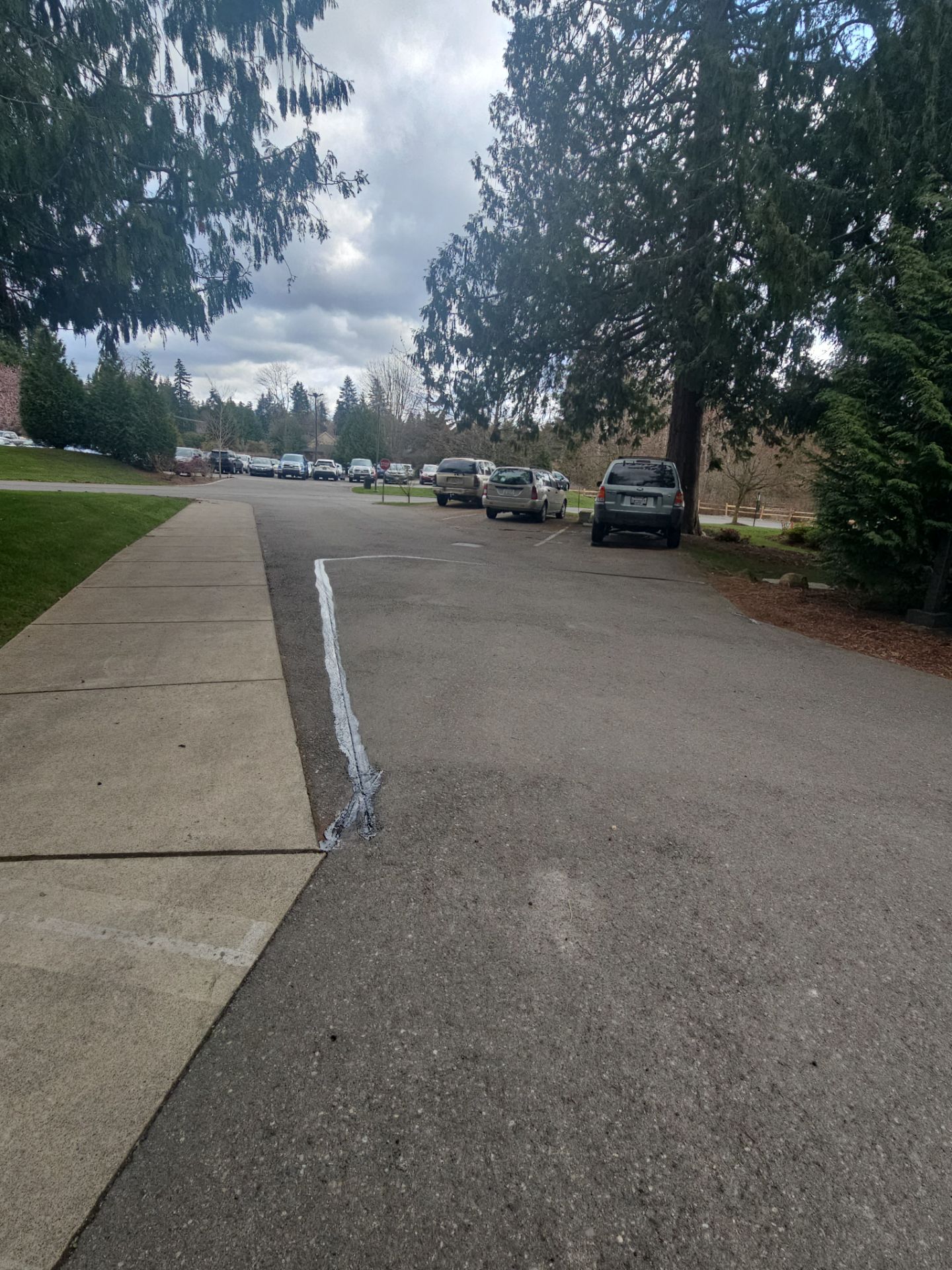 Asphalt Patch Repair | Auburn  by Jireh Asphalt & Concrete Inc 